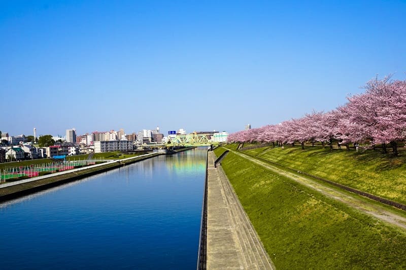 東京都北区